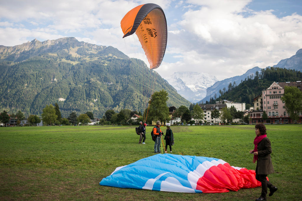 Hang gliders landing on a meadow