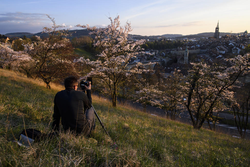 man photographing trees