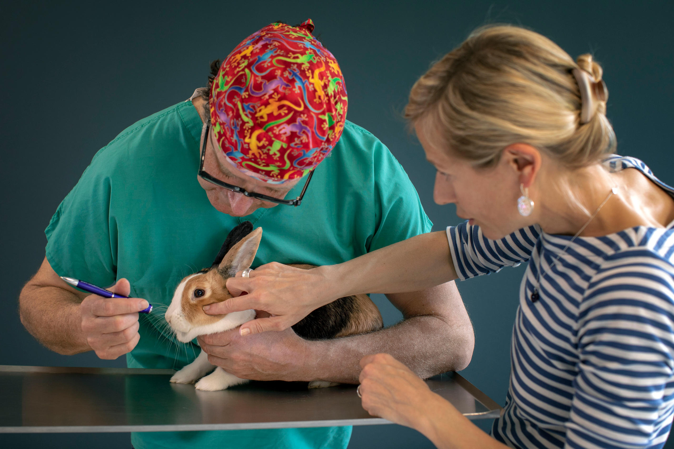 il veterinario e una donna controllano un coniglio