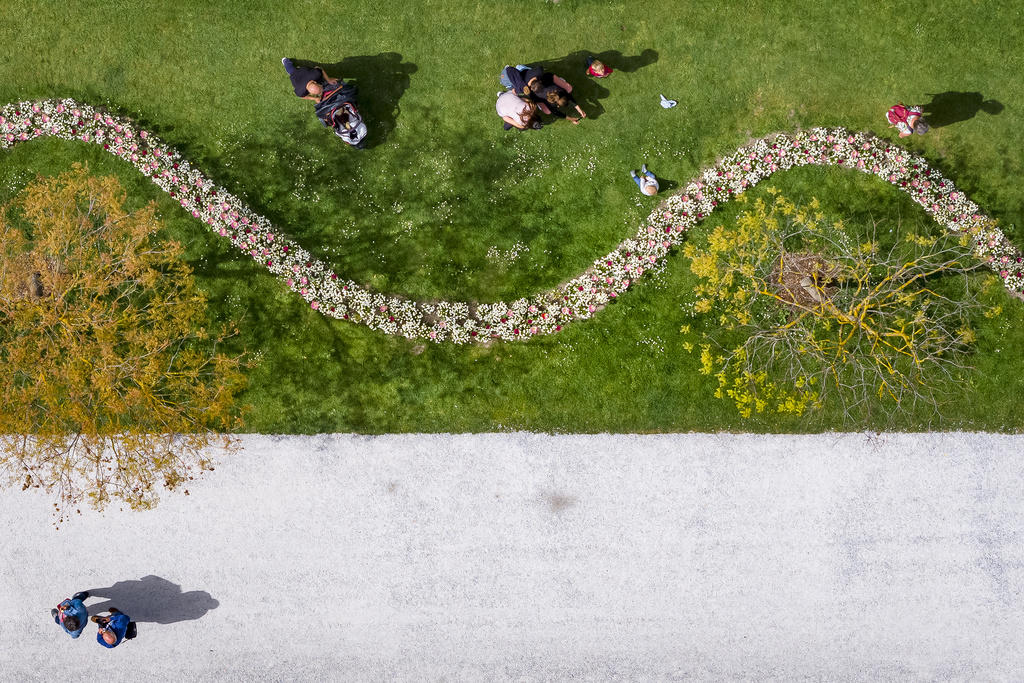 Luftbild von Menschen in einem Park mit Rasen und Blumen