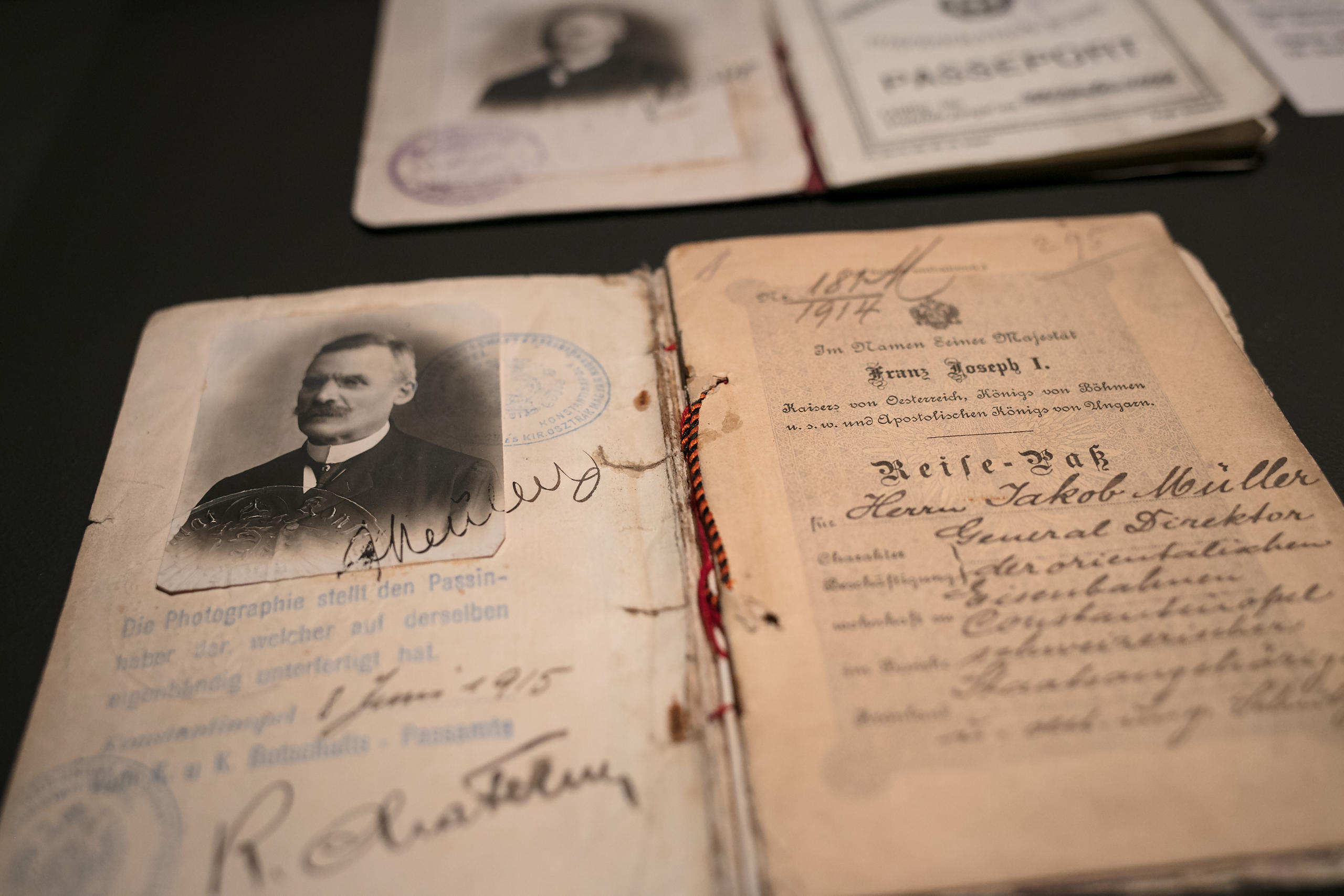 Pasaportes del Türken-Müller