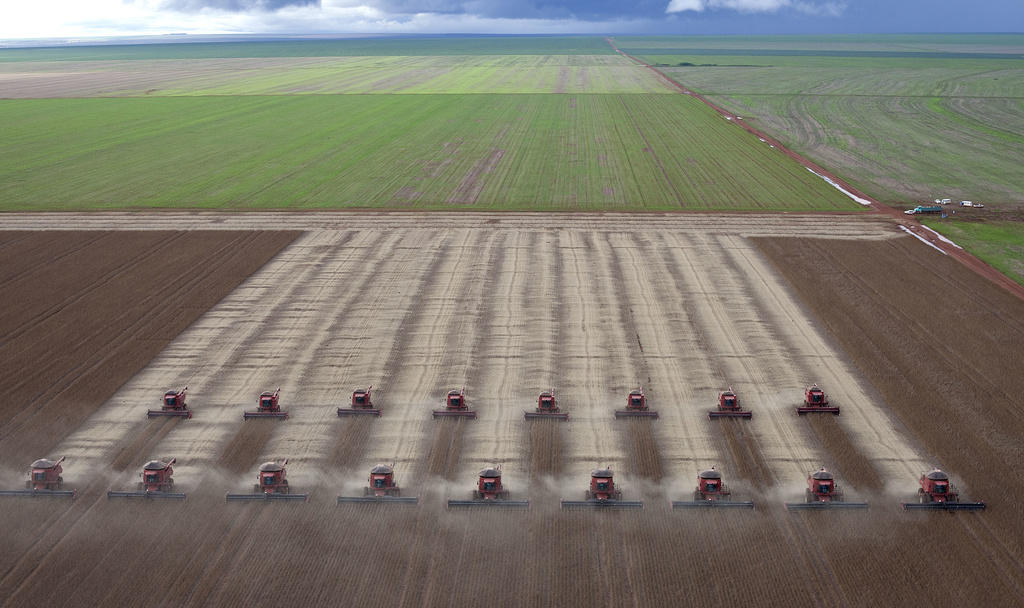 Mato Grosso