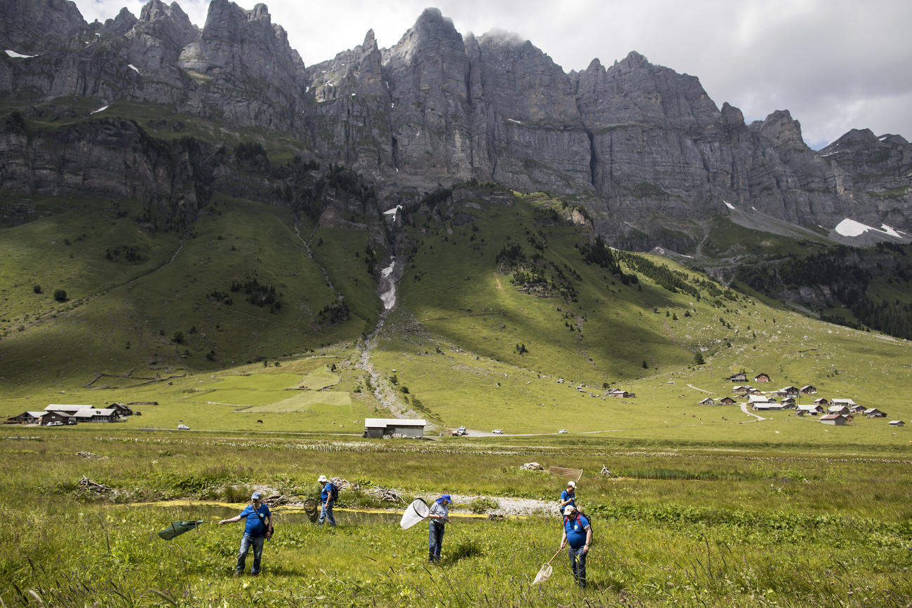 mountain range