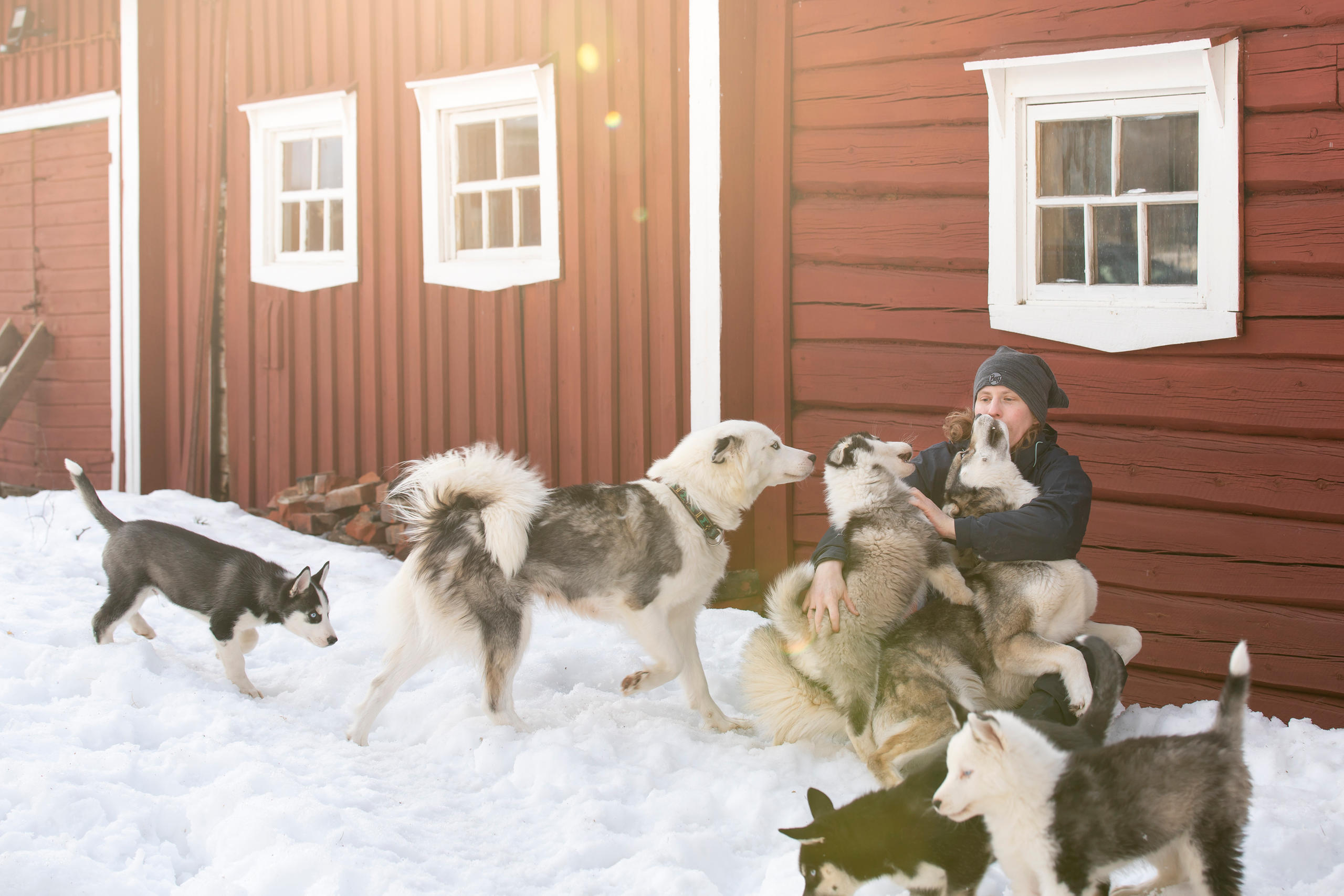 Femme avec des chiens dans la neige devant une maison en bois.