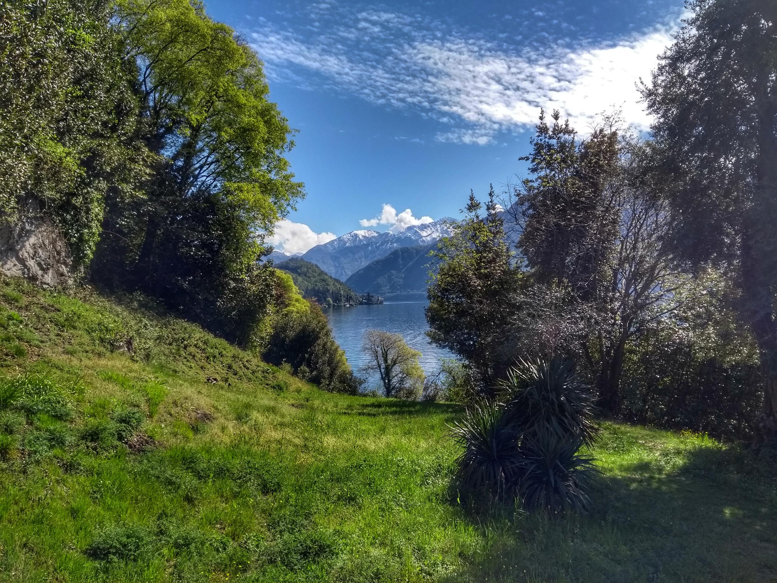 Isola di un lago in un contesto prealpino e primaverile vista da un prato su una collina; qualche pianta in primo piano