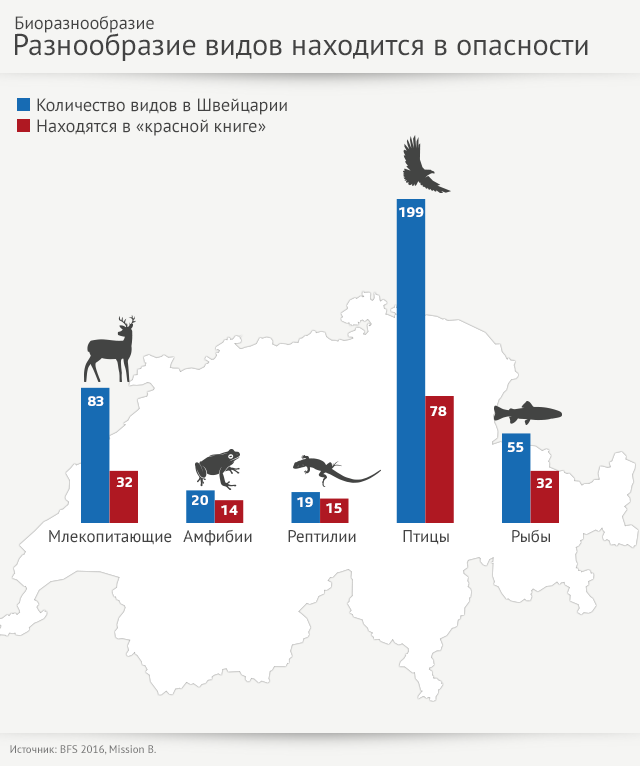 график биоразнообразие в опасности