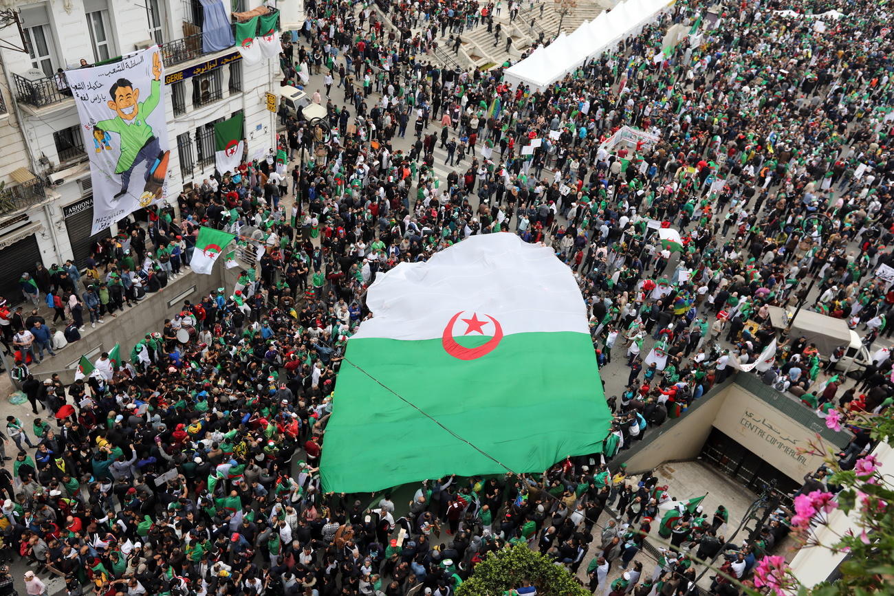 آلاف المتظاهرين يرفعون الأعلام الجزائرية وسط العاصمة