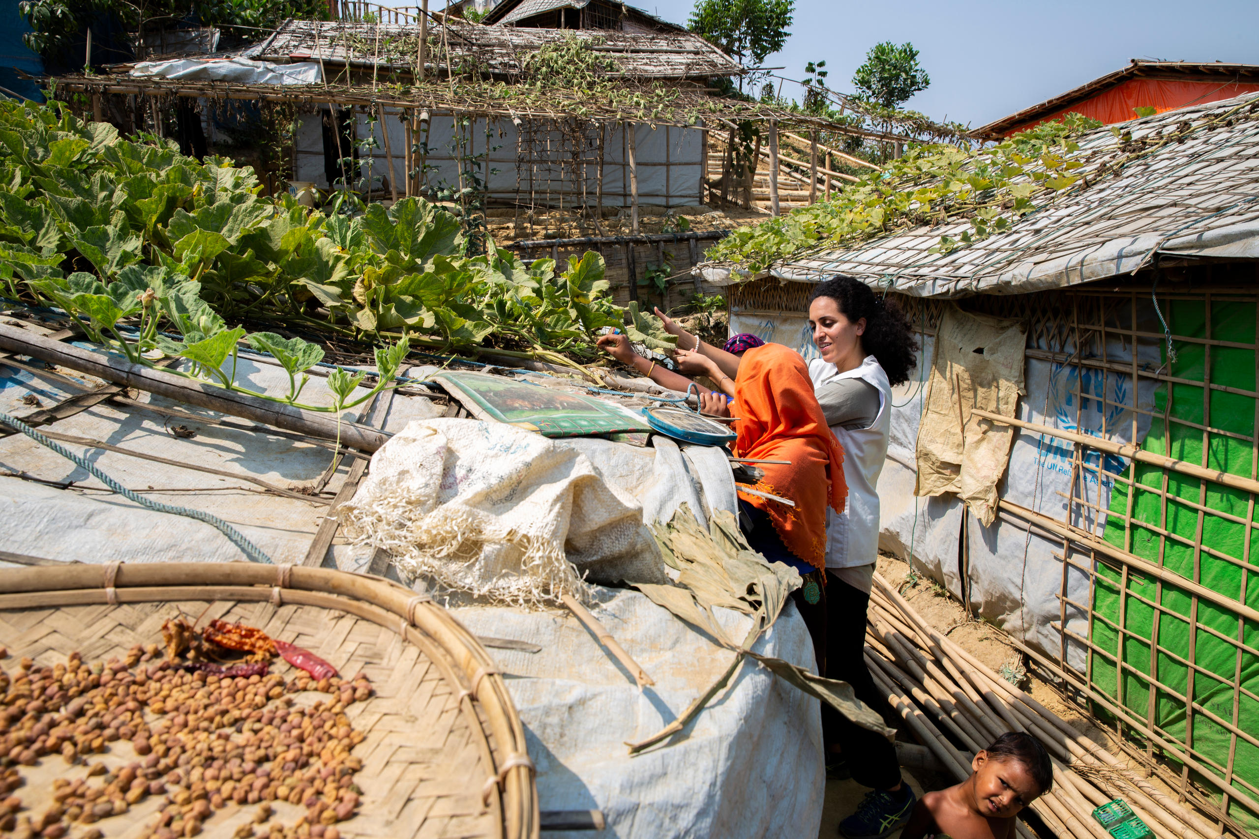 Dos mujeres con plantas de verduras