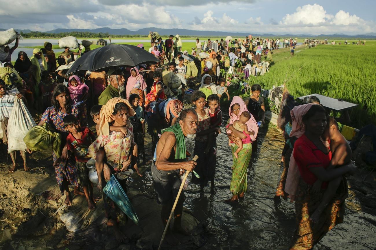 More than 700,000 Rohingya crossed into Bangladesh in 2017