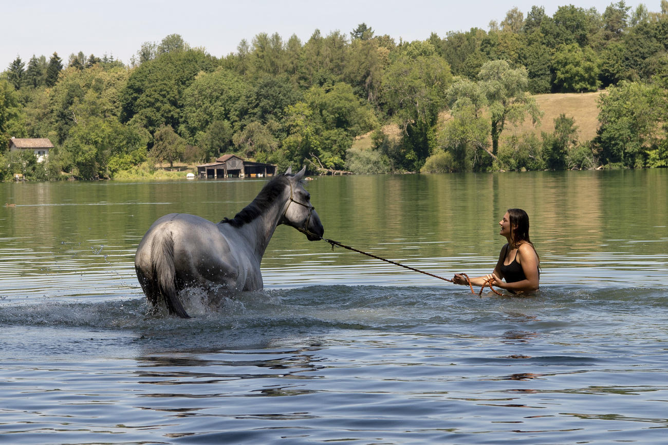 Frau führt Pferd zum Bad in See