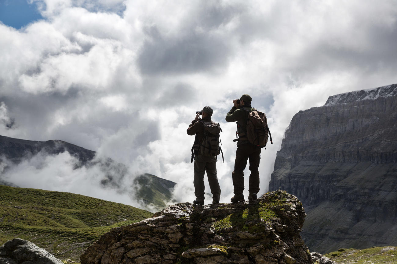 Hunters stand on mountains looking through binoculars