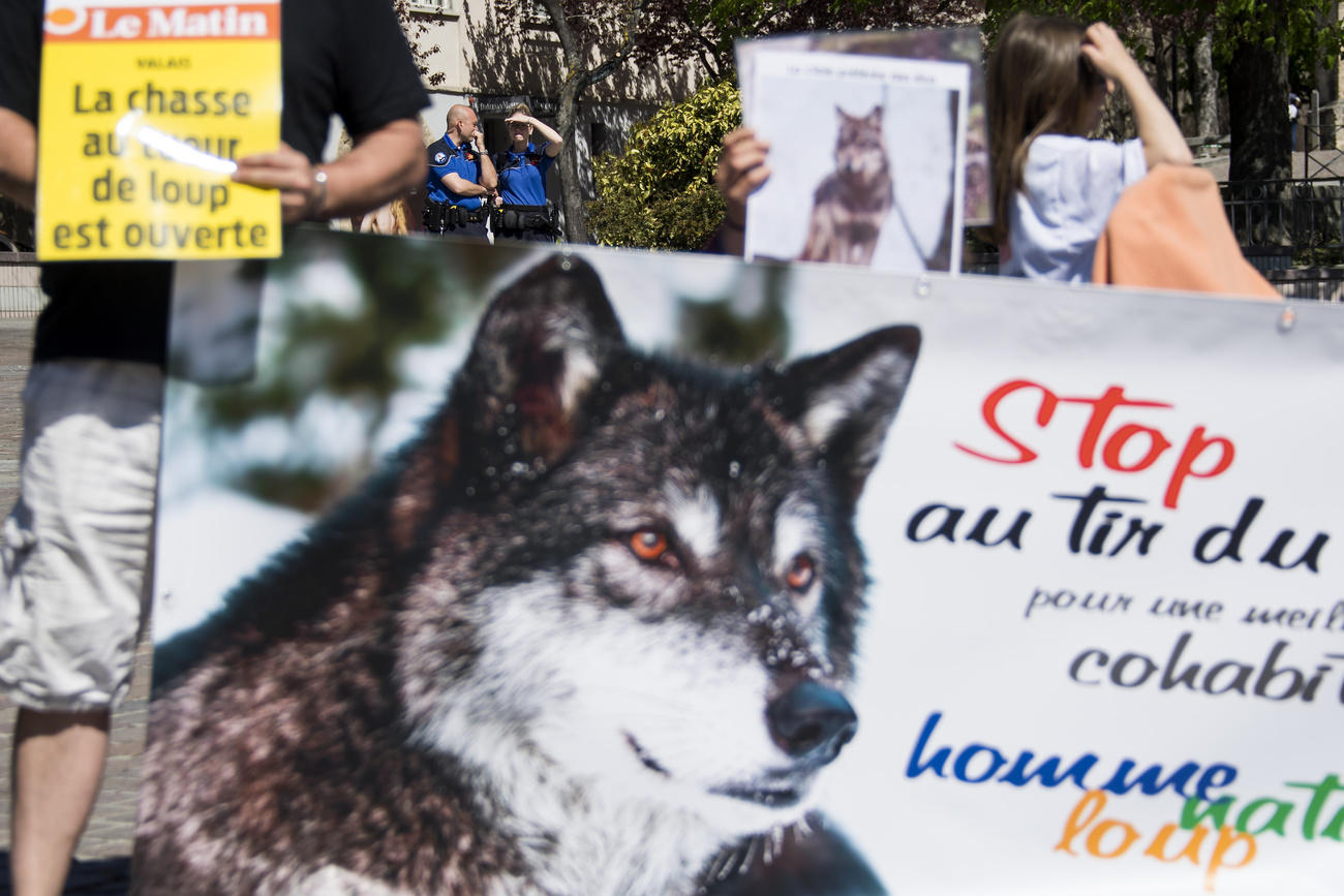 Demonstration against wolf hunting