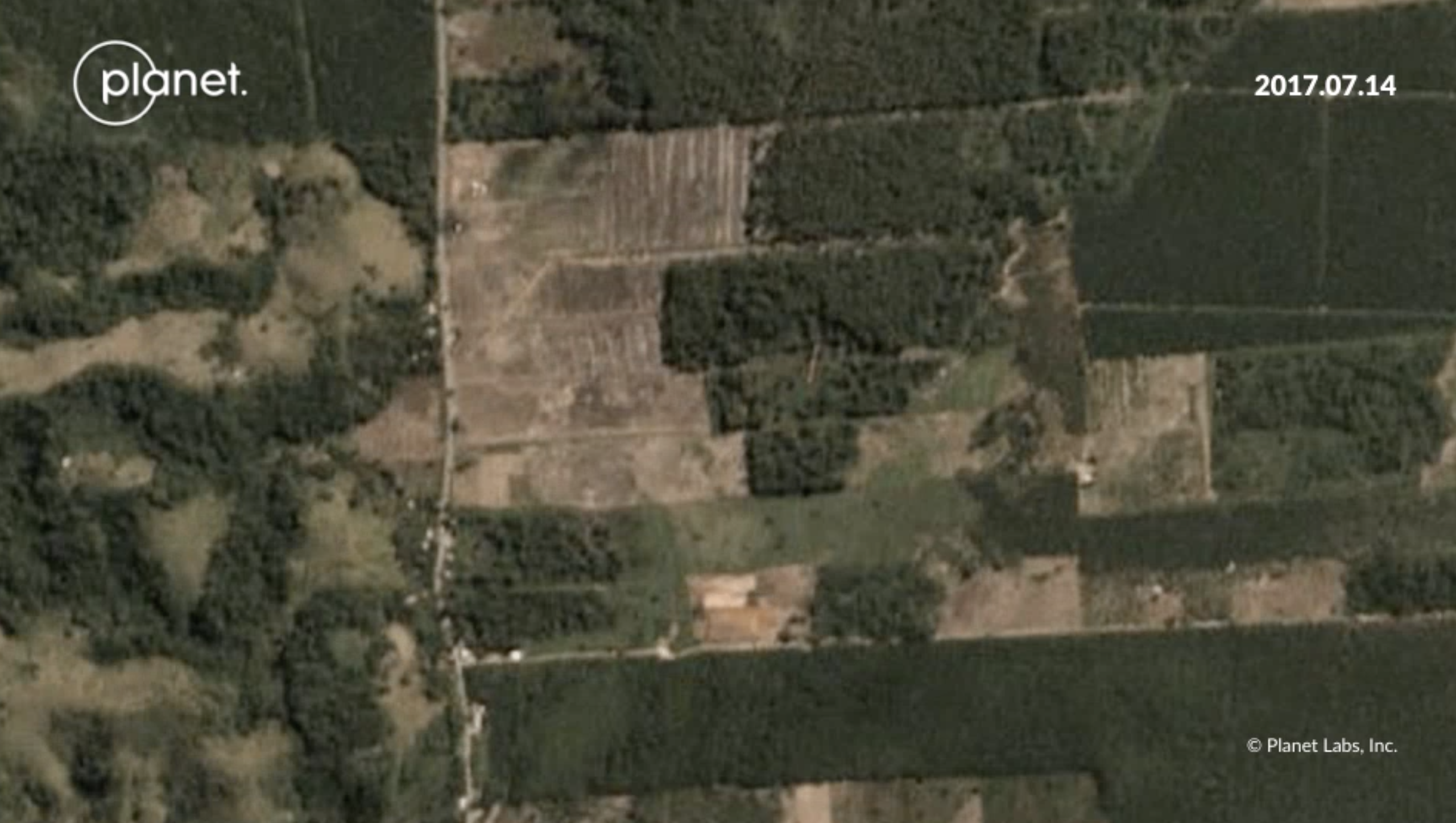 Satellite images showing deforestation