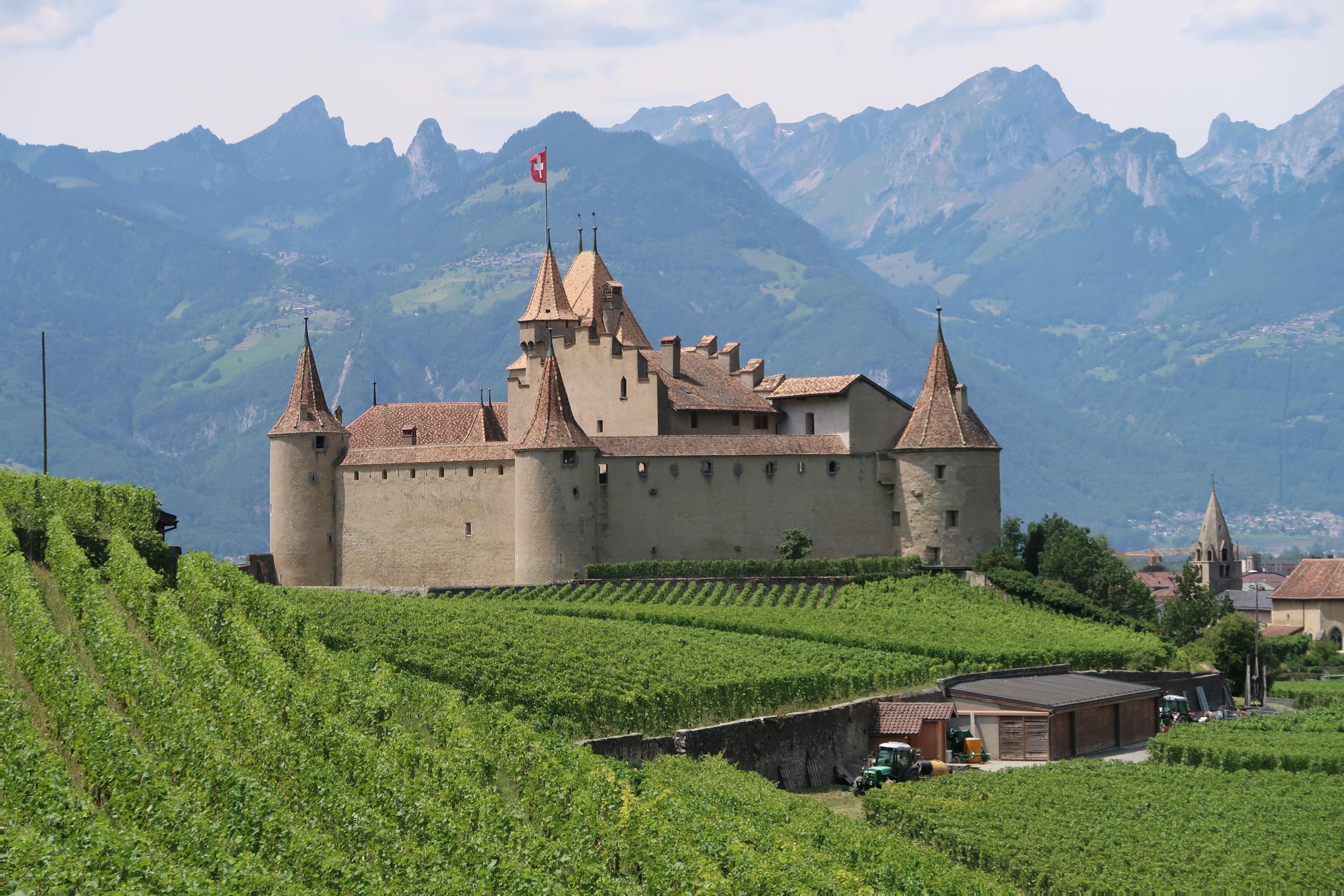 Château au milieu des vignes