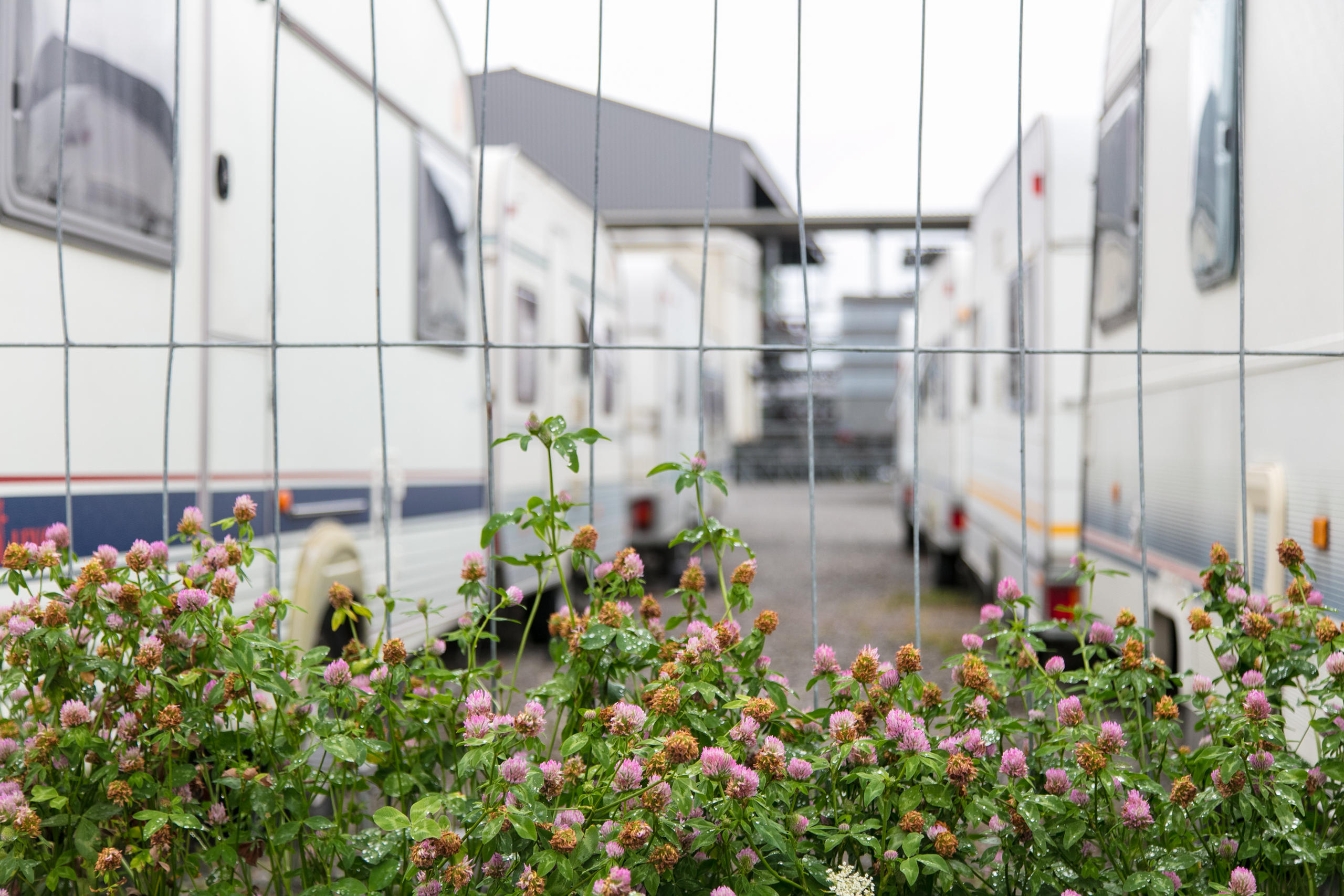 Caravanes derrière une grille métallique.