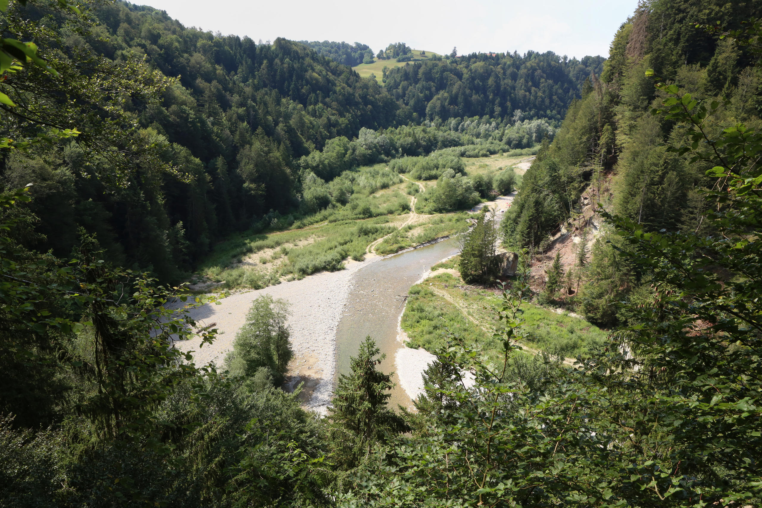 Lungo il fiume più naturale della Svizzera - SWI