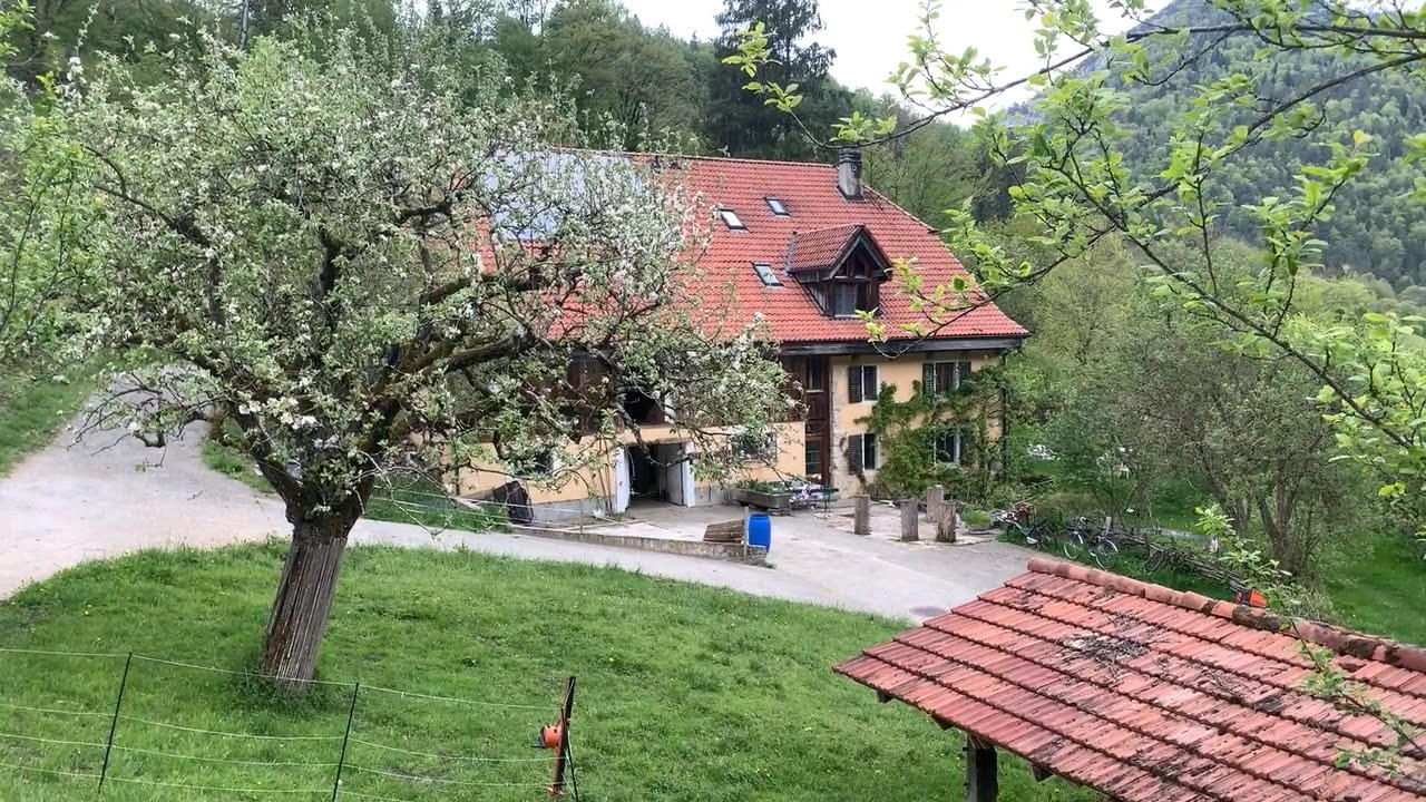 Ferme entourée d arbres