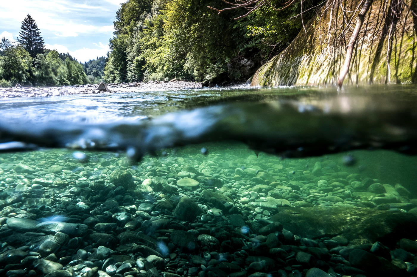 Lungo il fiume più naturale della Svizzera - SWI