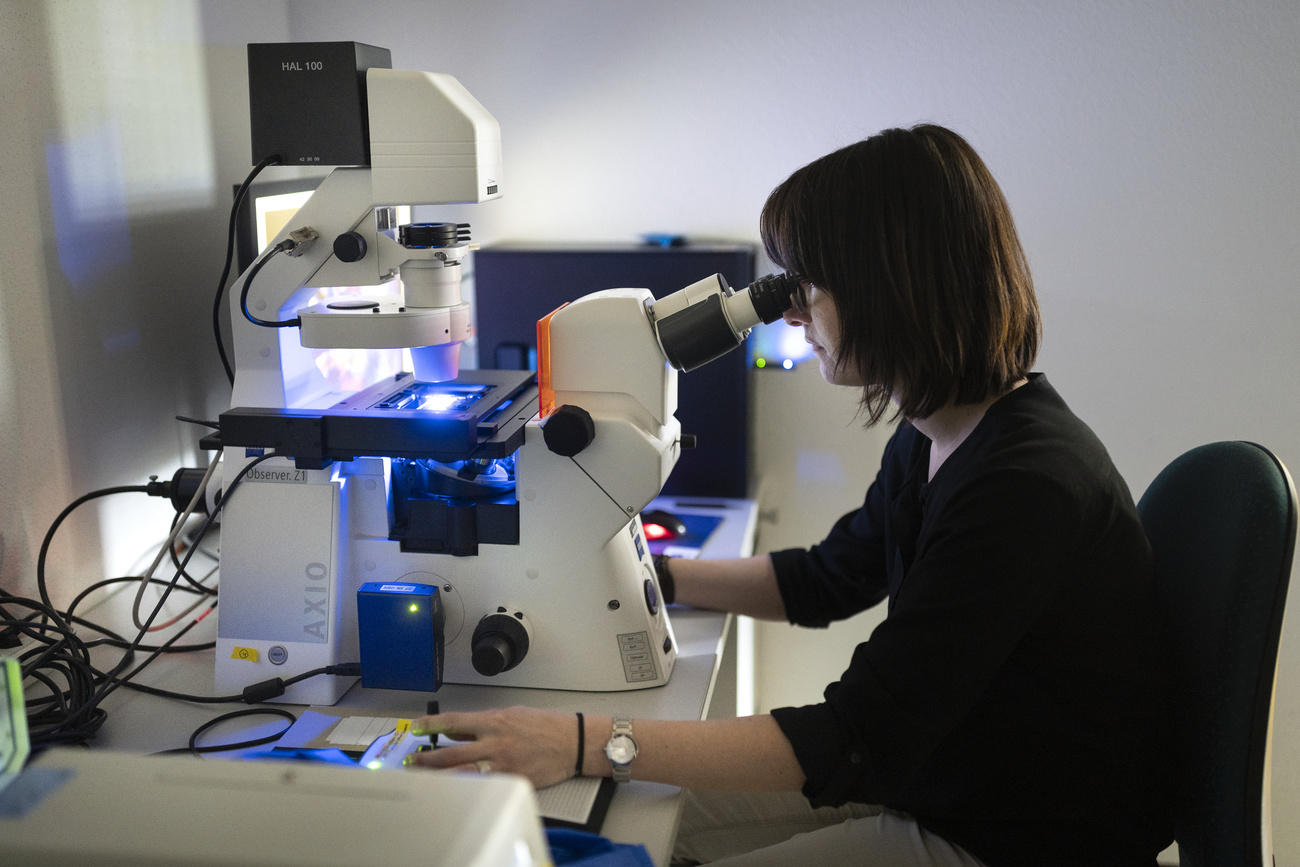 woman scientist looking into microscope