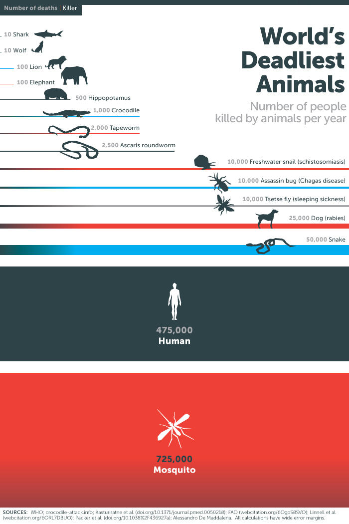 infografica sugli animali più mortali del mondo