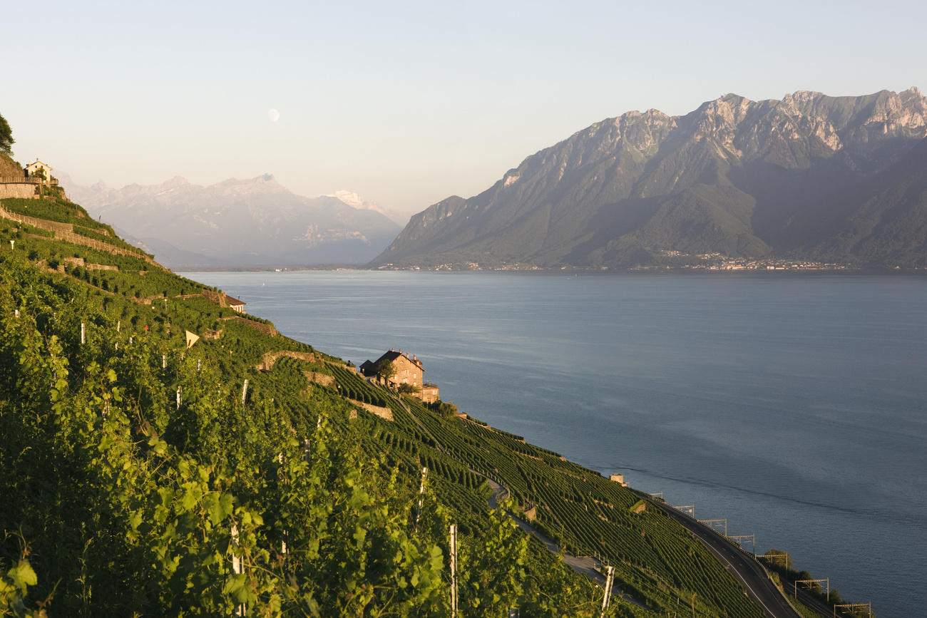 view of Lake Geneva