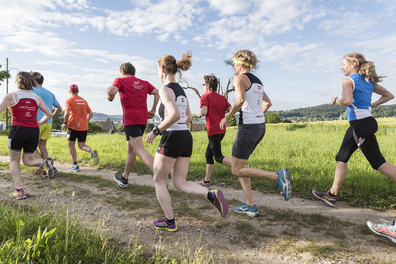 Swiss joggers