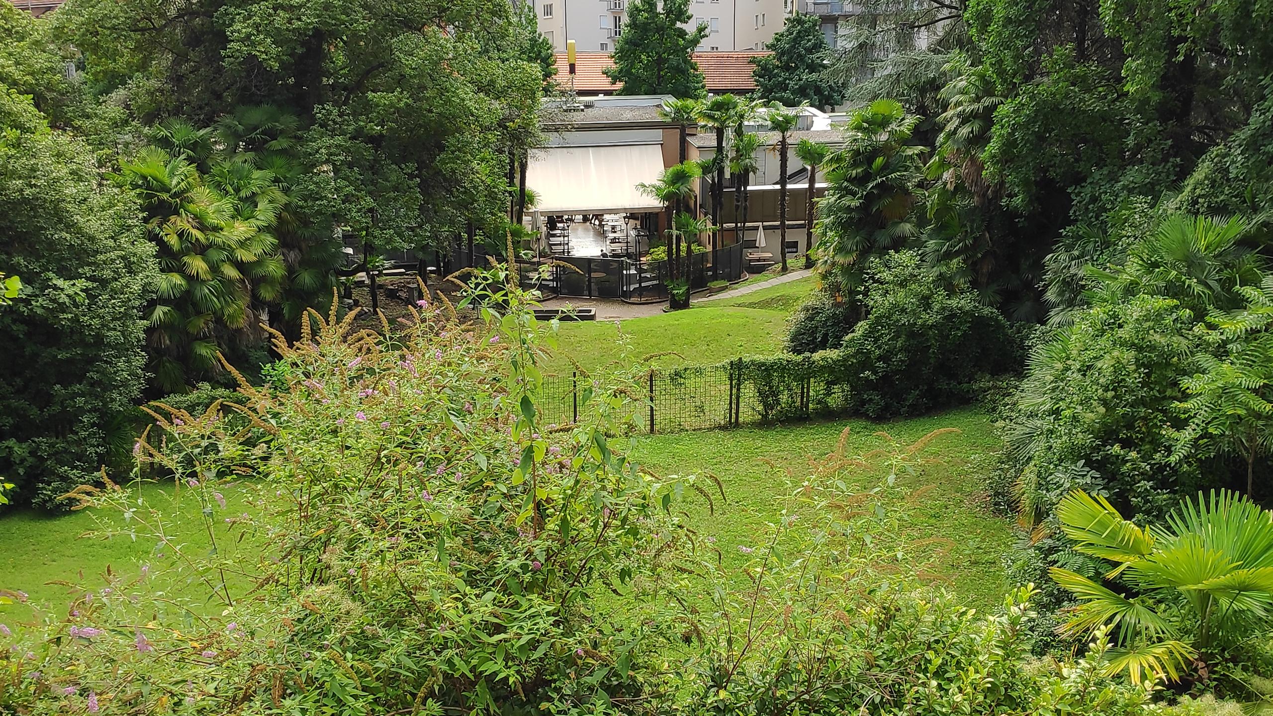 Jardín hoy