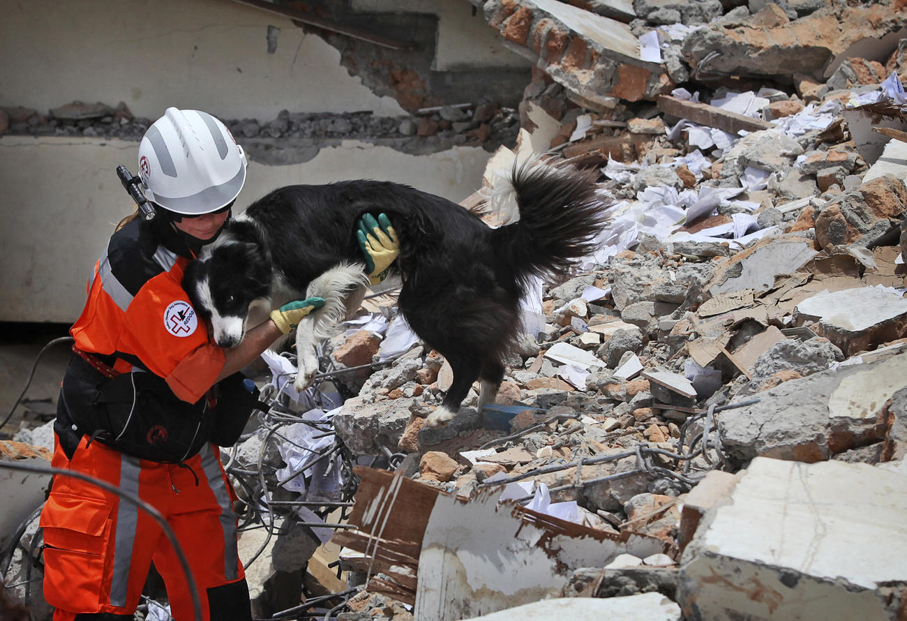 Eine Person mit Helm und orangem Anzug steht mit einem Hund auf Trümmern.
