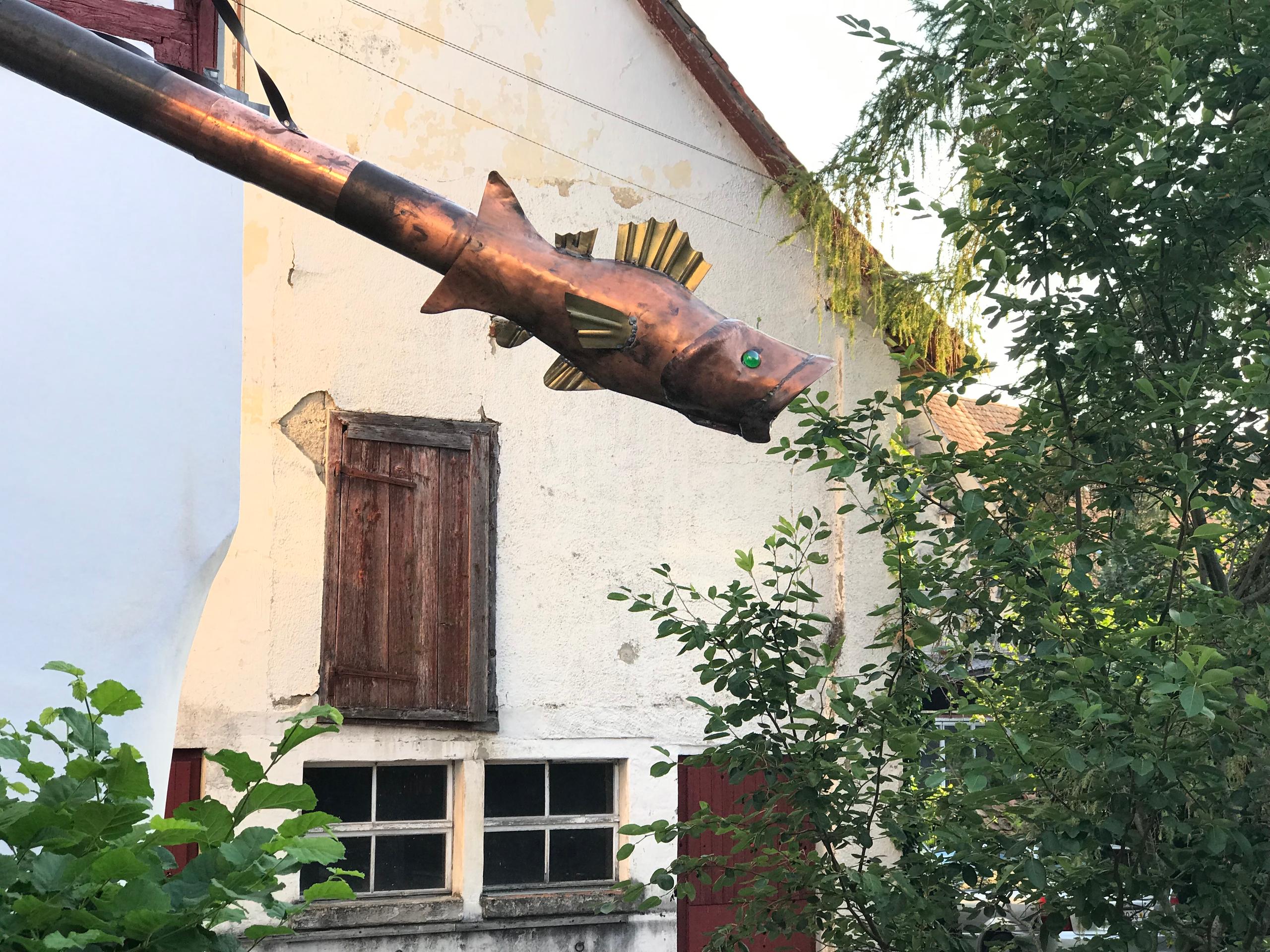 Ornamental fixture in figure of fish attached to end of roof drain