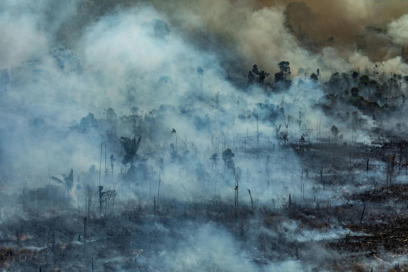 Immagine di un area forestale quasi interamente ricoperta da fumo; si intravvedono focolari
