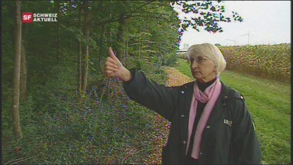 a woman is standing at the edge of a forest, reaching out her arm and raising her thumb