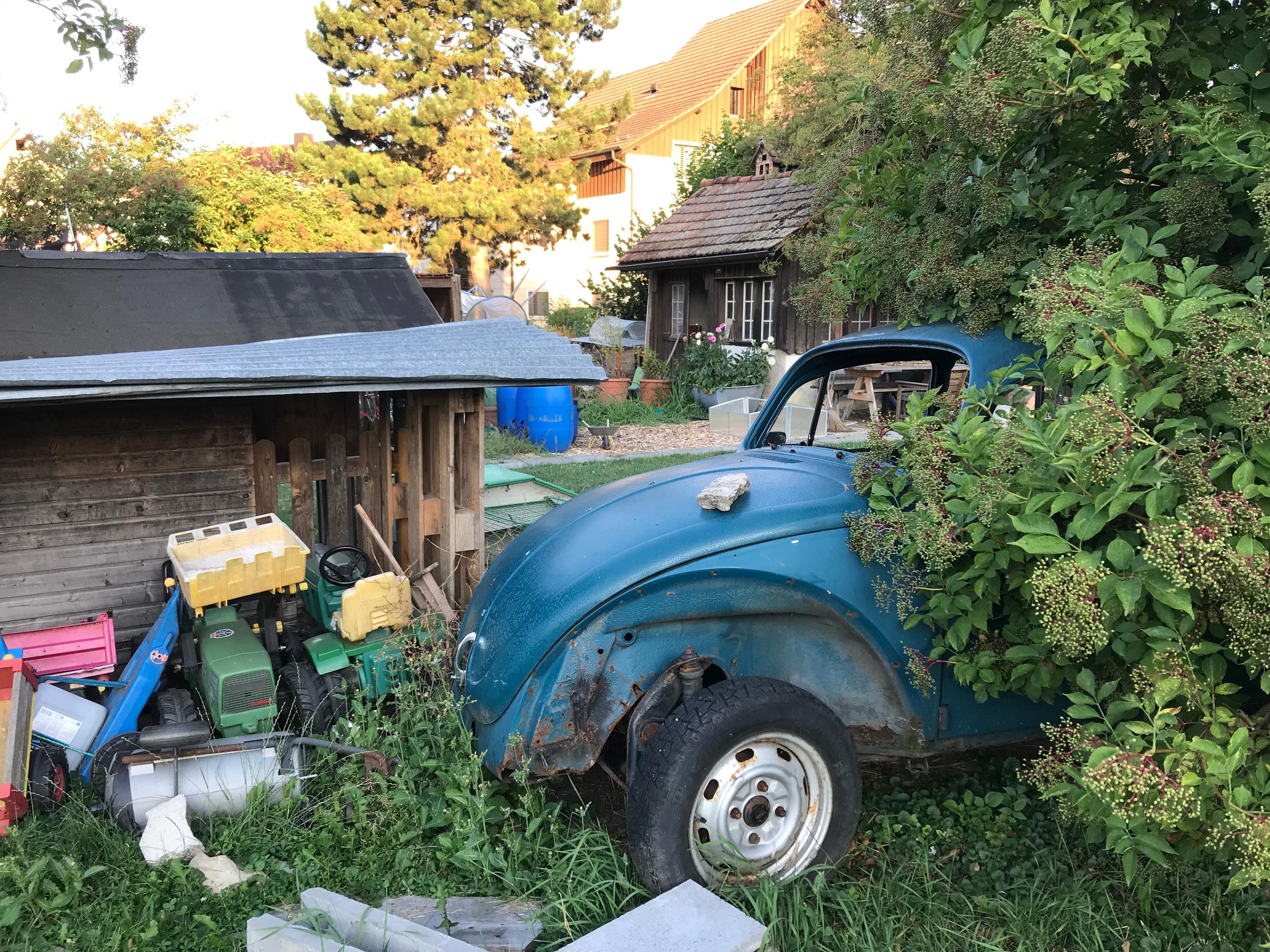 An old VW beetle in the back garden of a home in the village
