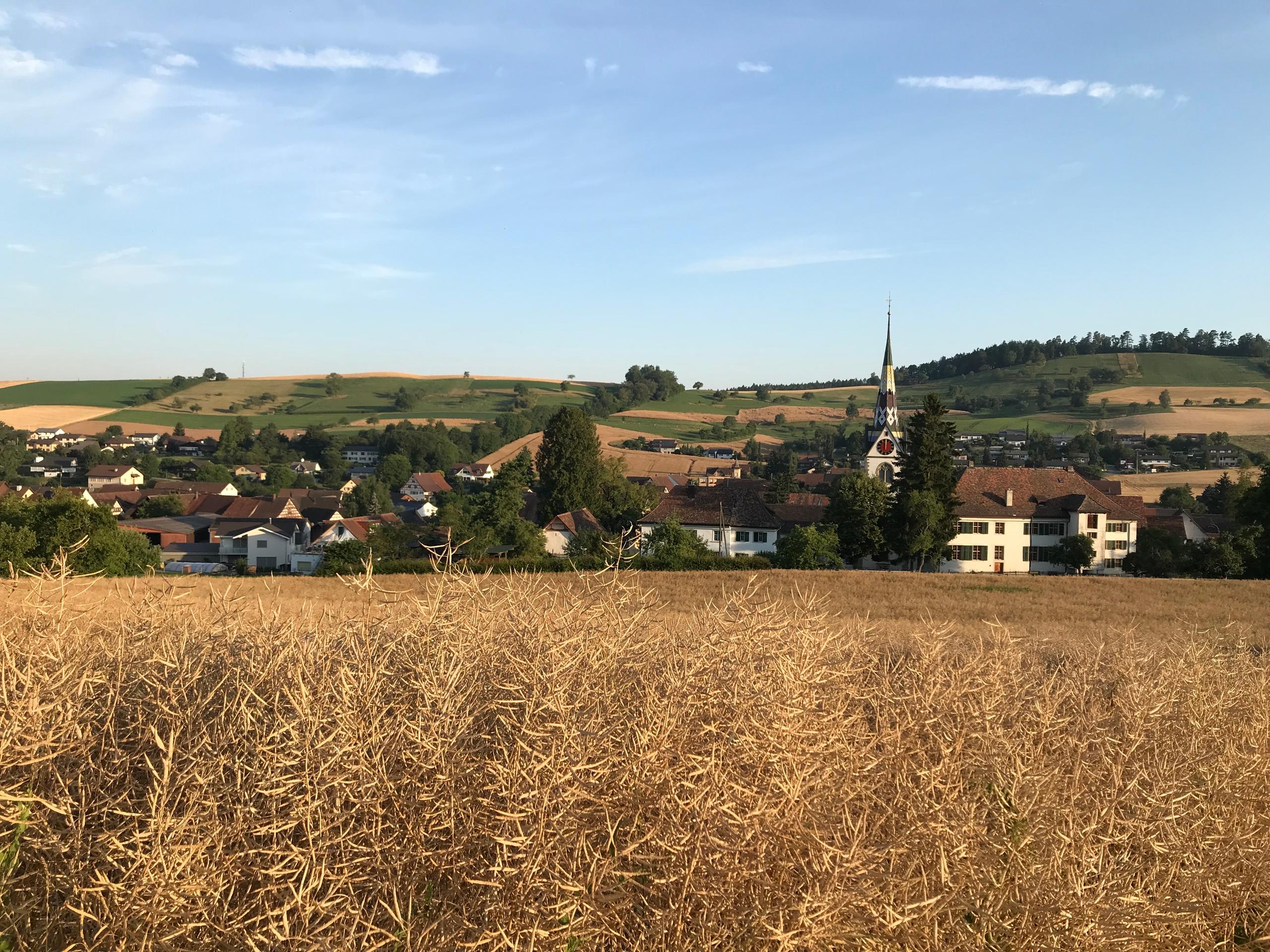 Village seen from the fields above