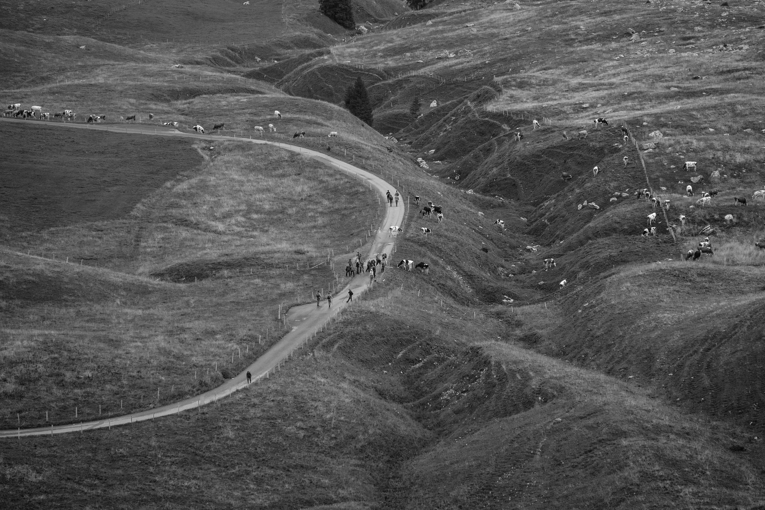 Teerstrasse von weitem