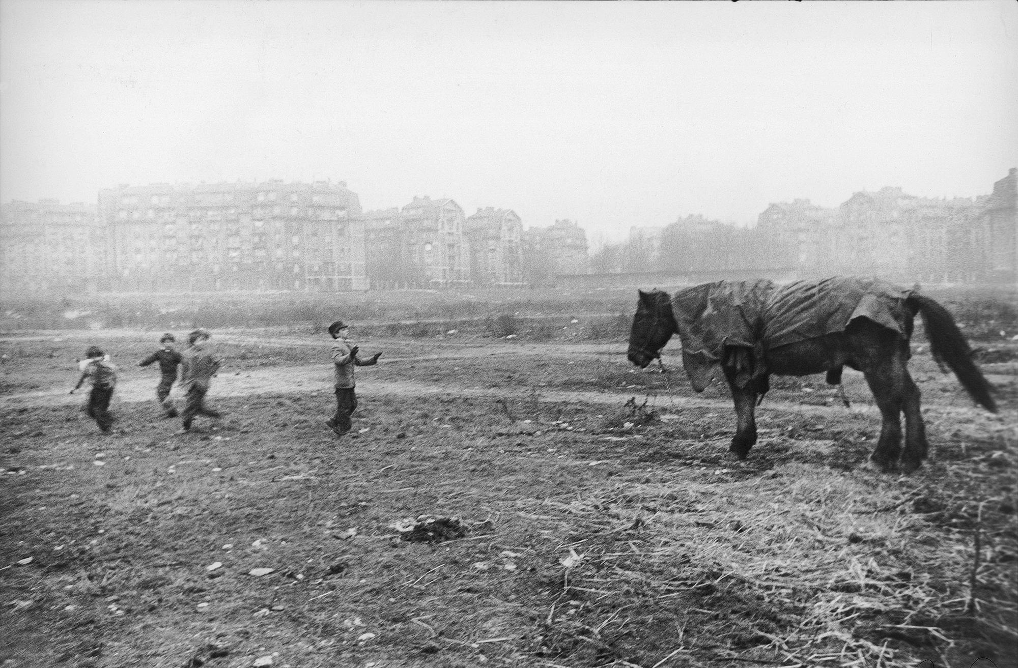 Un pony con bambini