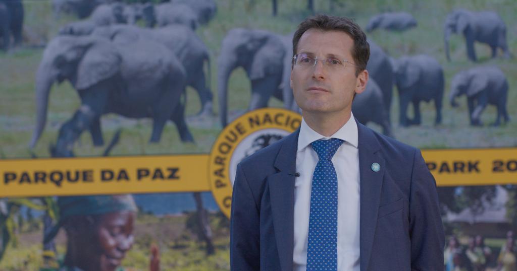 Mirko Manzoni and elephants