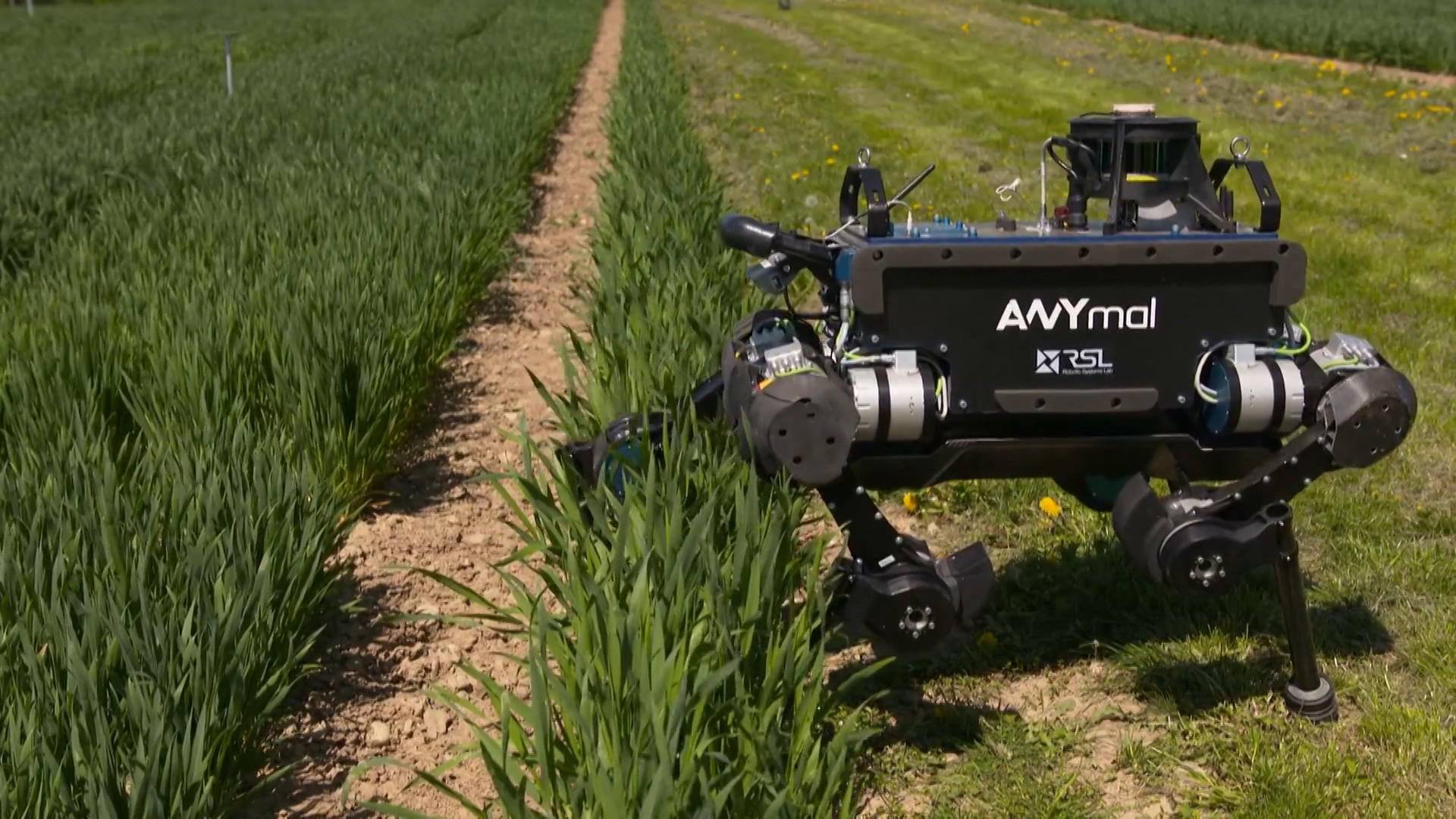 Robot farming