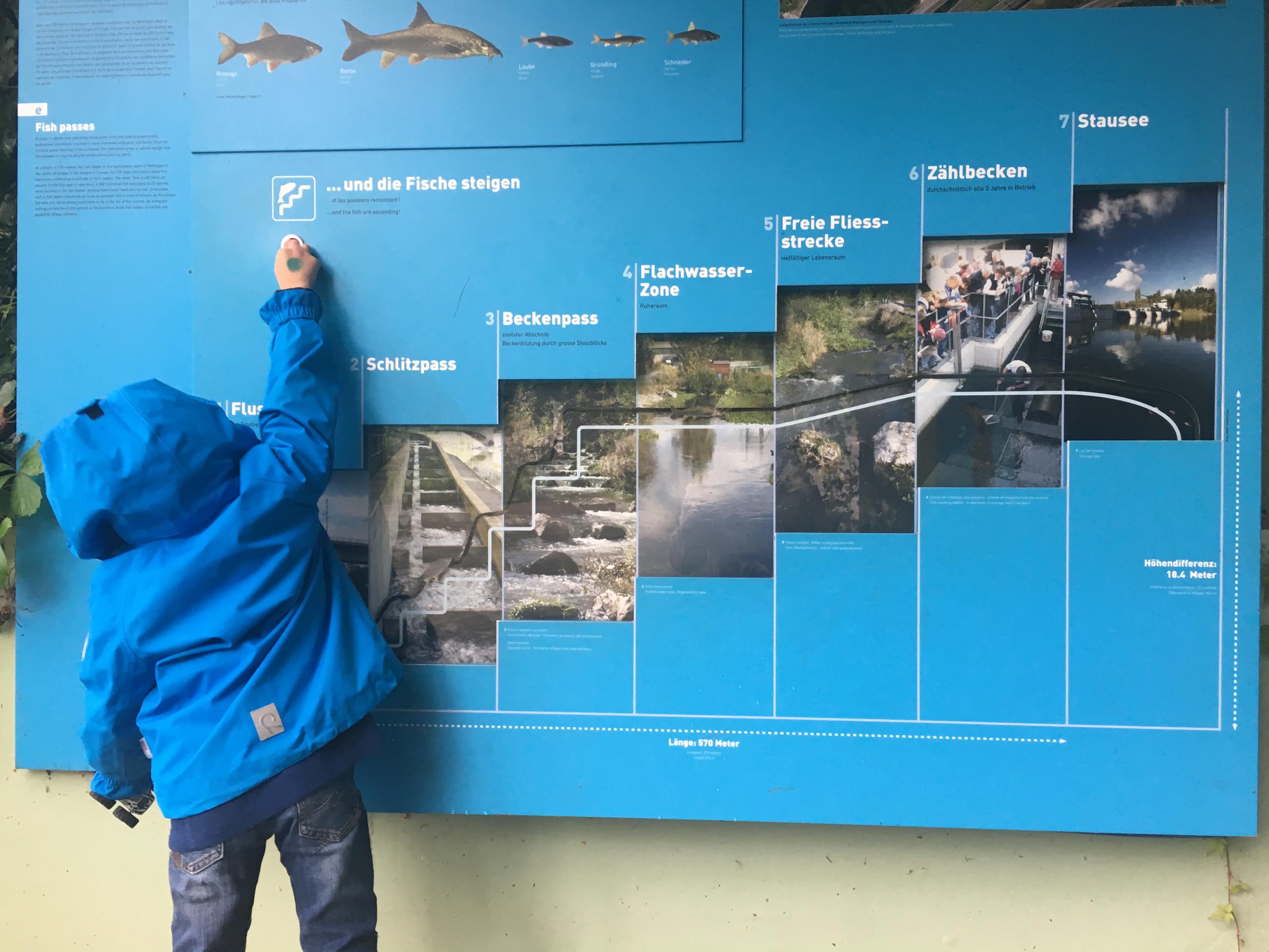 在蘇黎世動物園和猿猴一起逛超市