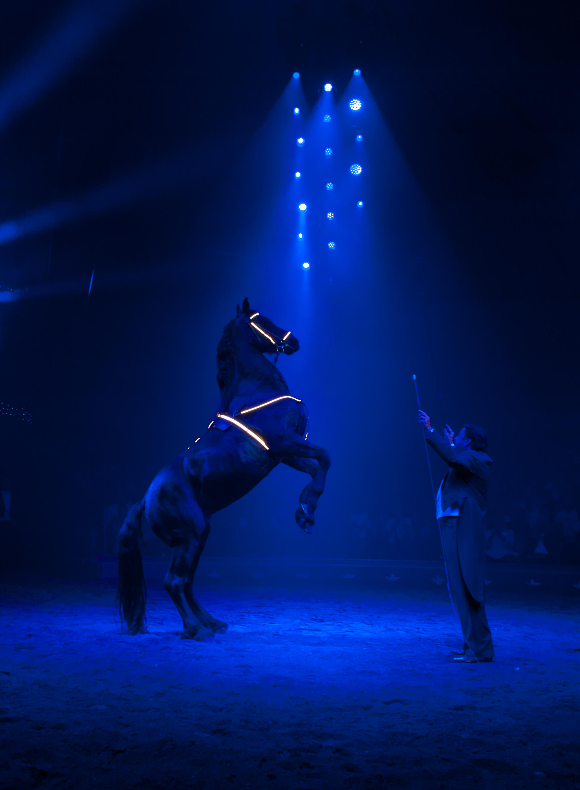 2019年的百年庆典节目单中，弗雷迪·肯尼(Fredy Knie jun.)表演的是大型“旋转木马”。数十匹纯黑和纯白马匹绕场奔驰，将整场表演的气氛推向高潮。