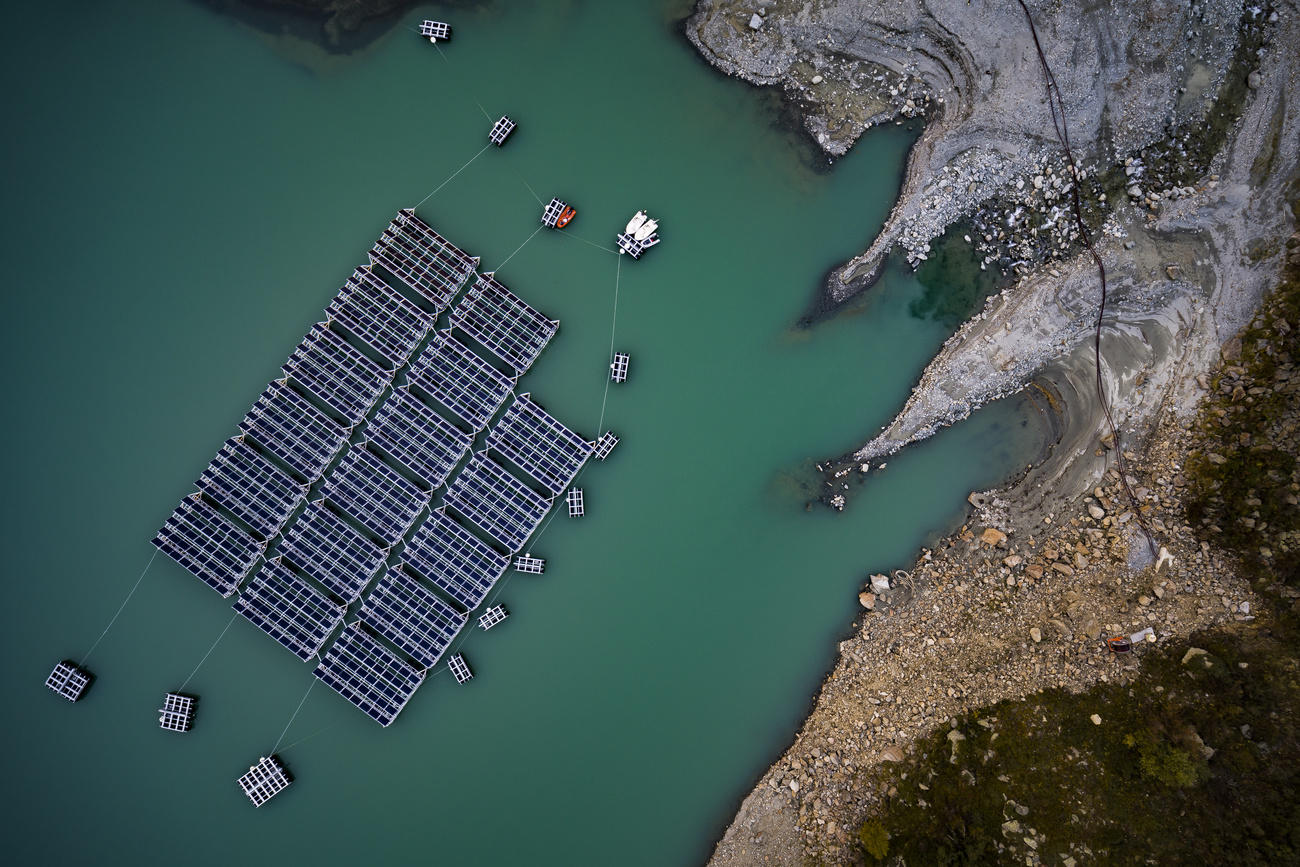 solar panels from above