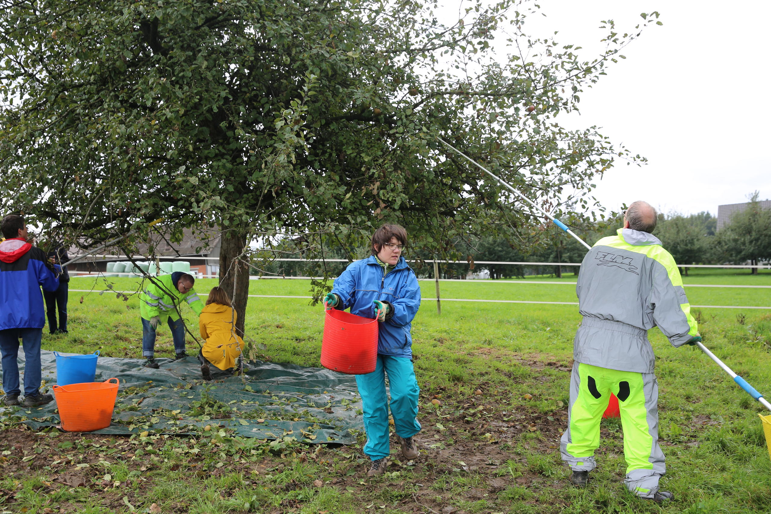 gartengold team picking apples