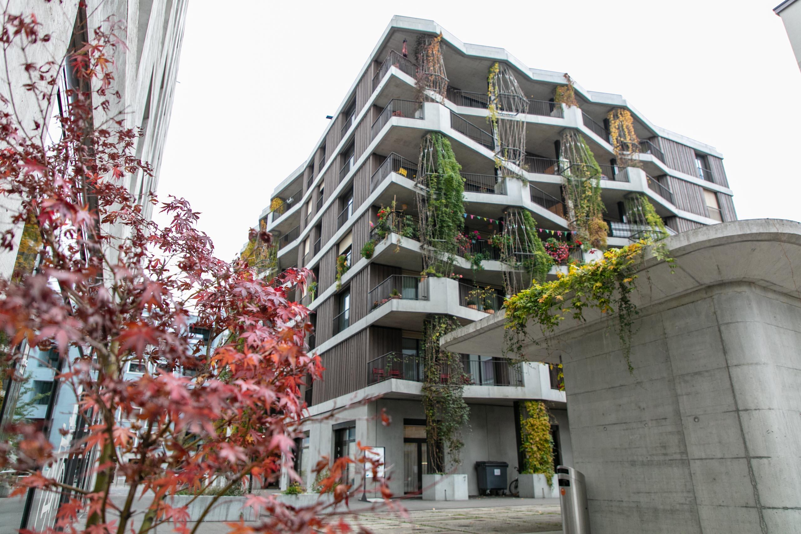 Siedlung Neubau Mehr als Wohnen