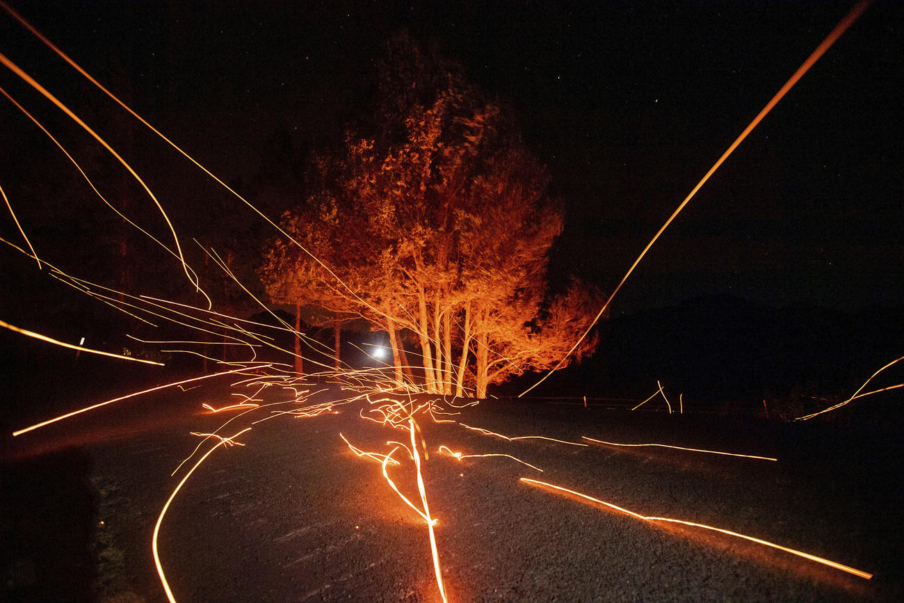 Immagine di un albero con scie rosso fuoco (braci fotografate con esposizione lunga) che si dipanano in maniera radiale