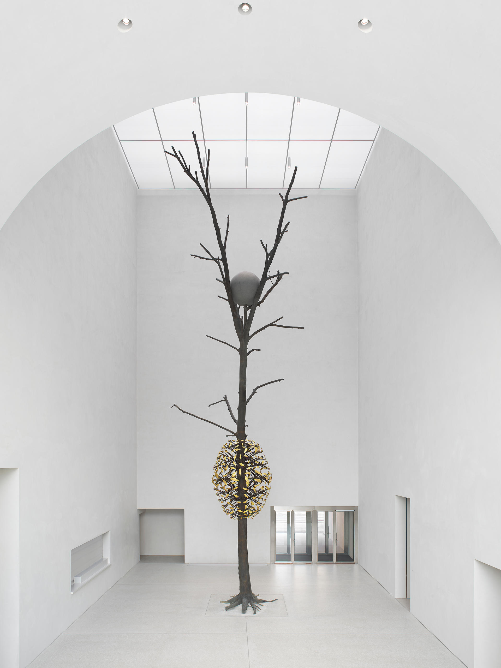 Giuseppe Penone, Luce e ombra, 2011 in the MCB-A hall