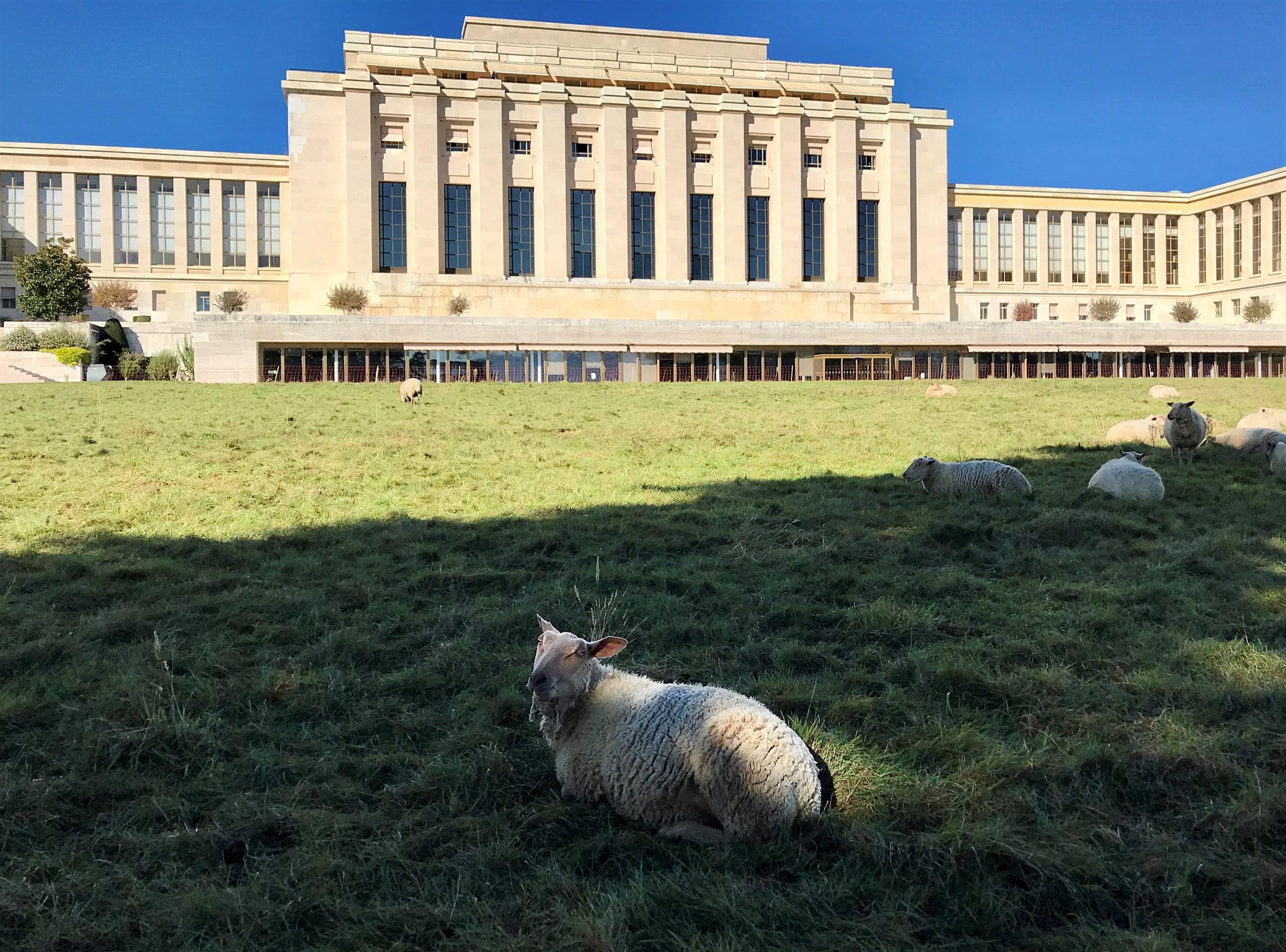 Palais des Nations