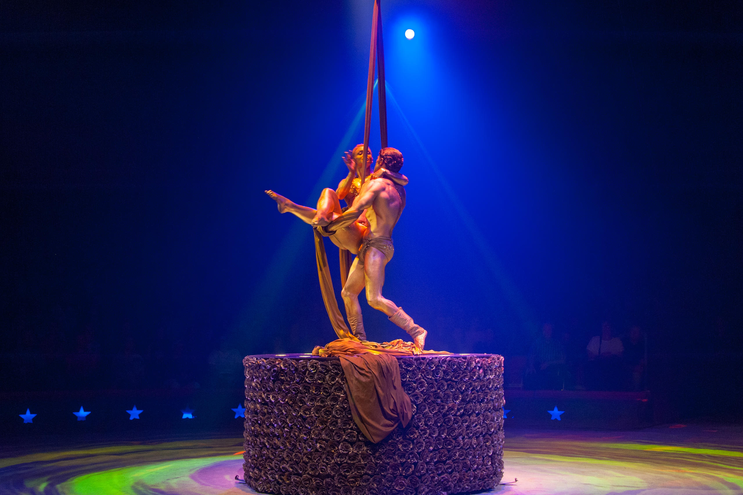 performance at circus knie