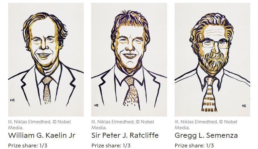 I tre vincitori del premio Nobel per la medicina in tre ritratti disegnati