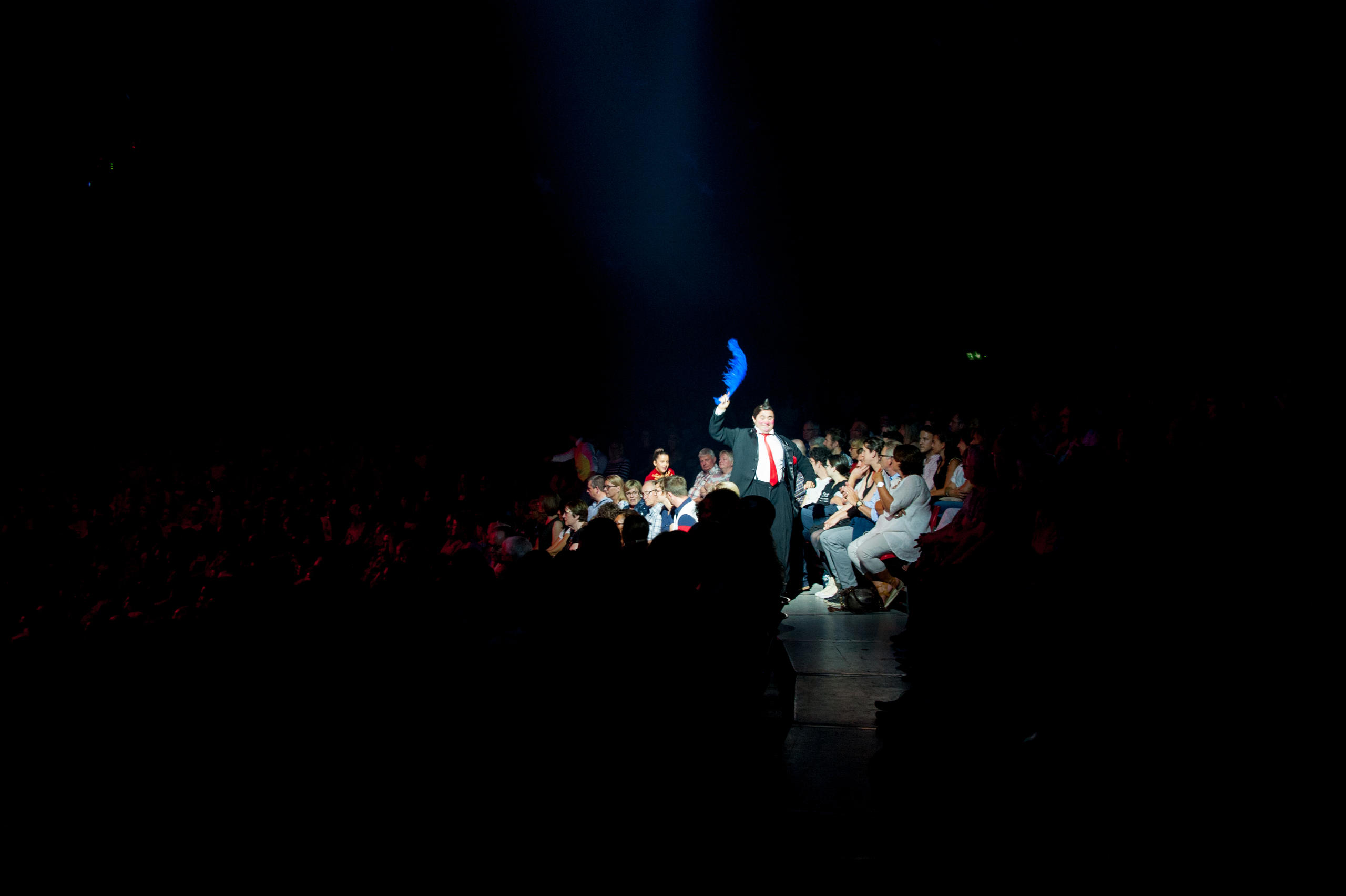 performance at circus knie