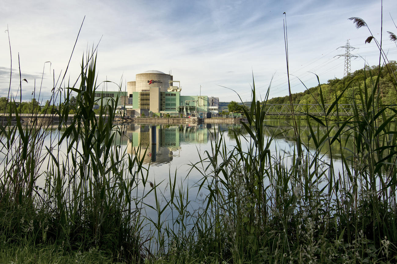 Blick durch Schilf am Ufer übers Wasser in Richtung eines Atomkraftwerks.