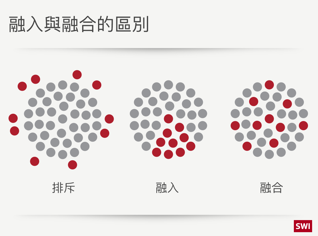 圖表
